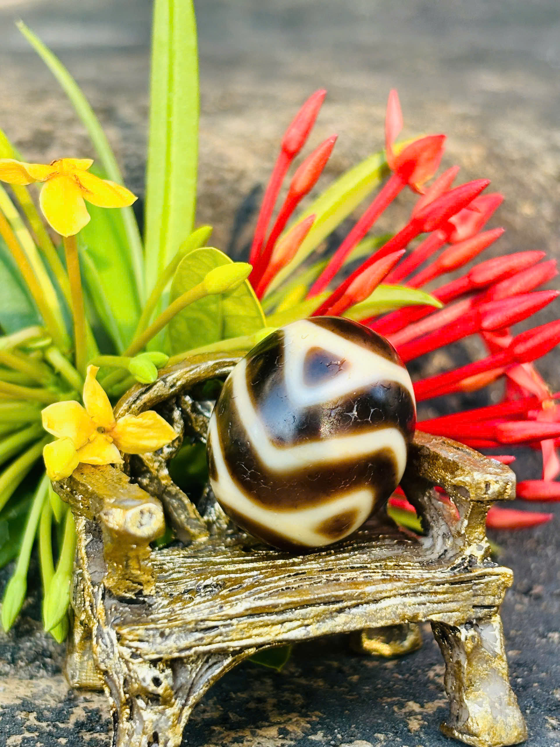 DZI NANH CỌP (dáng tròn)