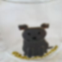 27972655_462241177512264_579144953032629