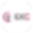 logo-idec (1)