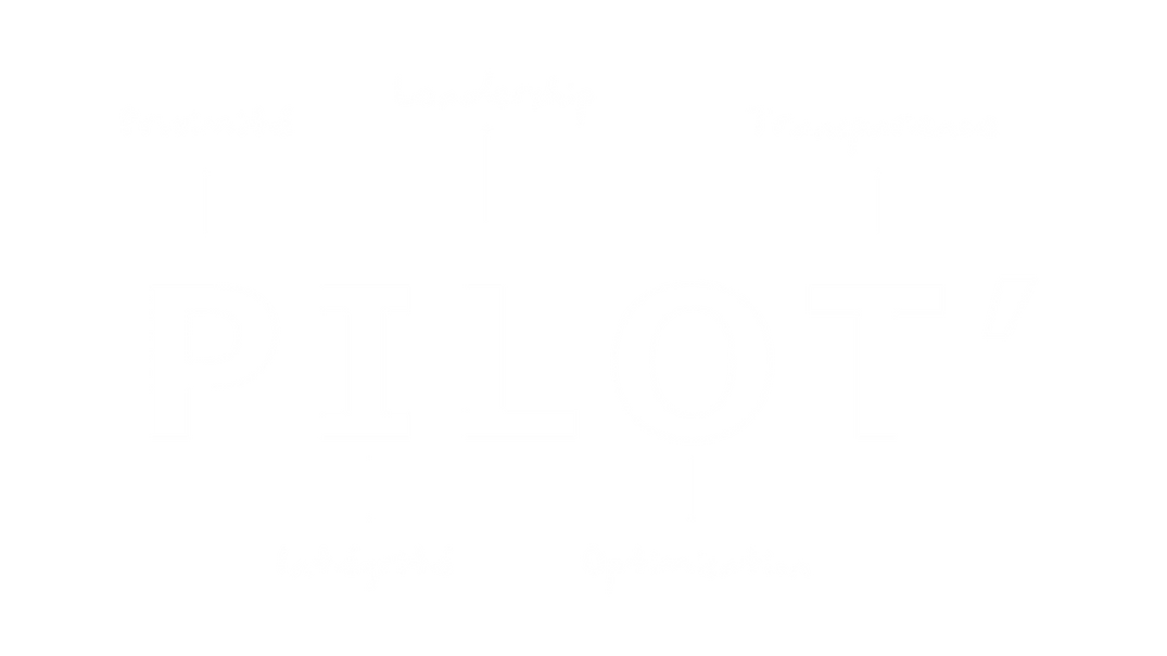 pilot-business-signification.png