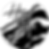 logo-hb-laque
