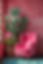 cactus and chair.JPG