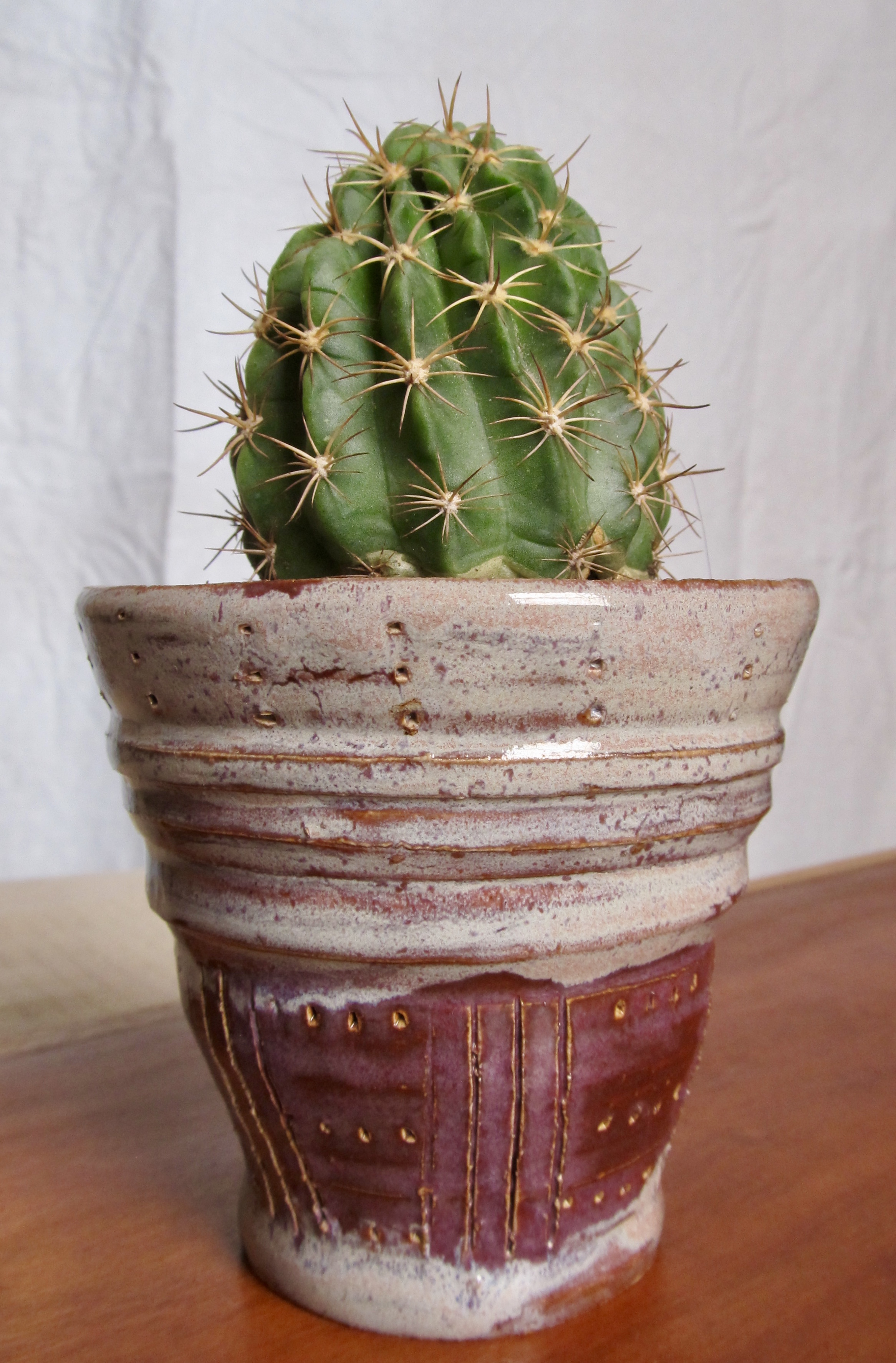 Plant pot
