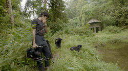 Screenshot 2023-11-15 at 4.41.55 AM