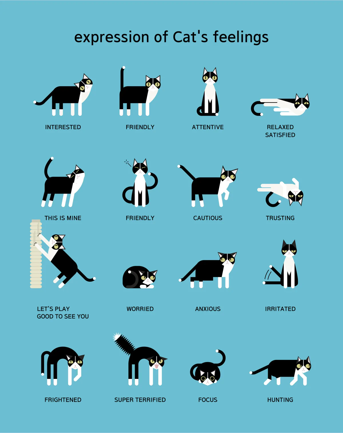 Untitled_design_9_998c599d-2a08-4517-8f04-294d73aab7a3_1200x.webp