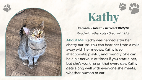Kathy.png