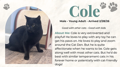 Cole (2).png
