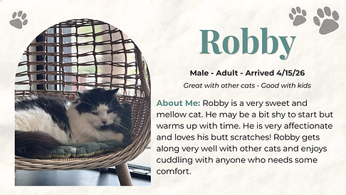 Robby.png