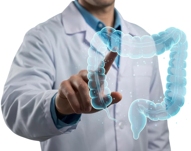doctor-interacting-with-luminescent-large-intestine-medical-visualization_edited.png