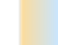 Section.png