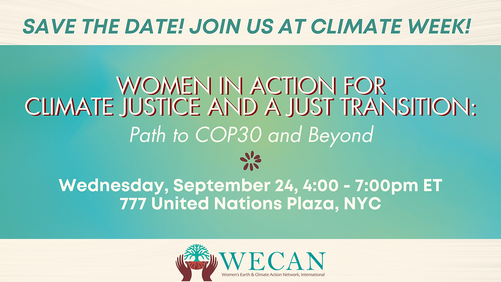 Women in Action for Climate Justice and Just Transition: Path to COP30 and Beyond