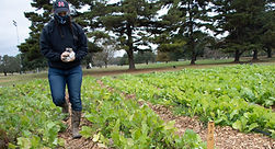 IG_WECAN_Kellyn_BatonRoots-4 (1)_edited.jpg