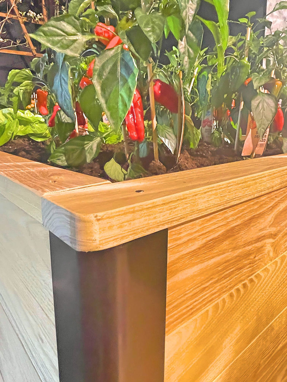 Miniaturbild: Robinbox Hochbeet -L hohe Beethöhe