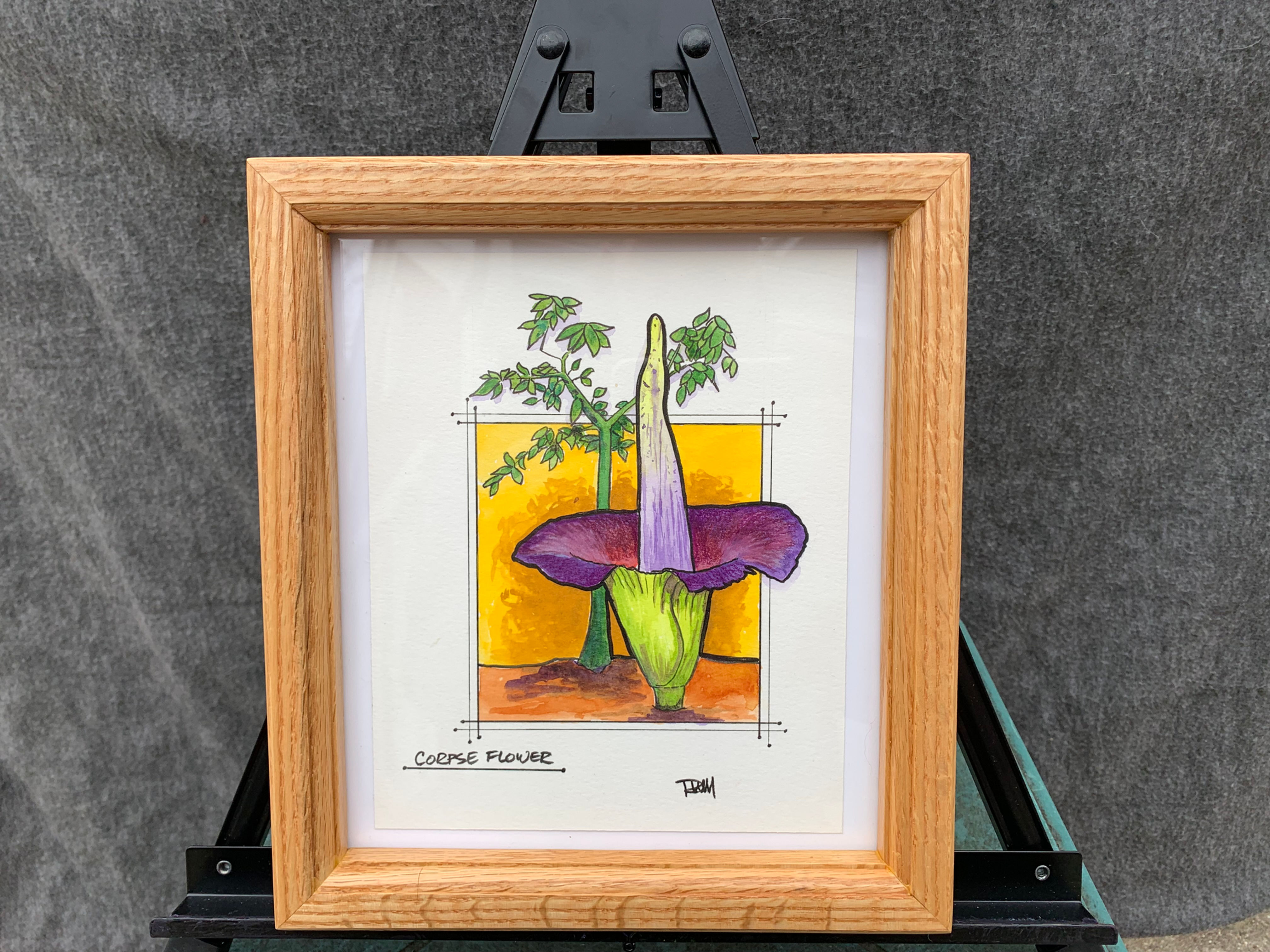 Corpse Flower Illustration