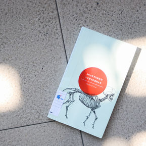 Scattered Vertebrae Book Review