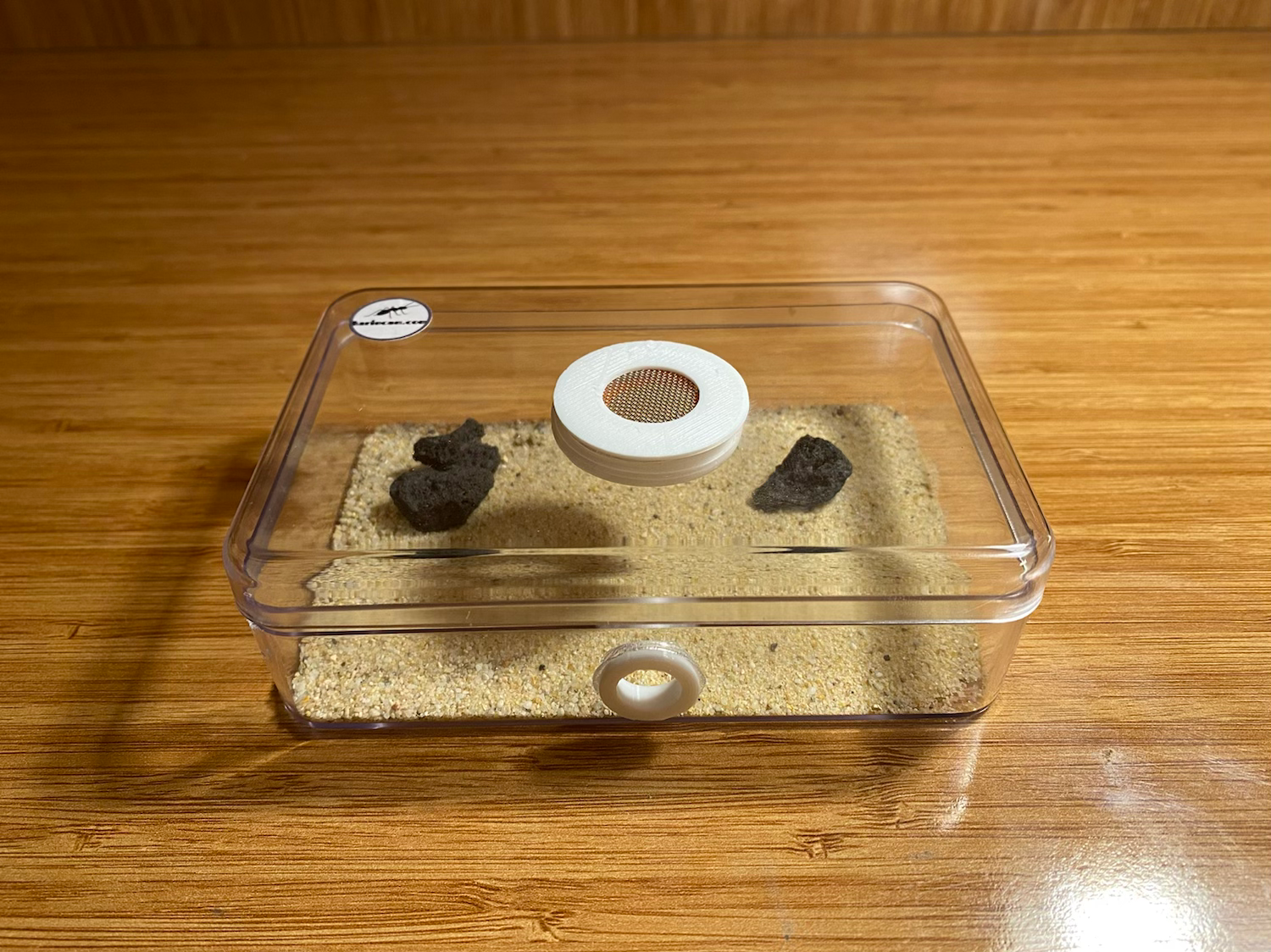 Küçük Boy Outworld