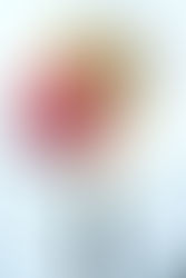 Unlock Your Hairstyling Talent – A New Path for  Women Beauticians & Makeup Artists