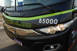 Double Decker - 85000