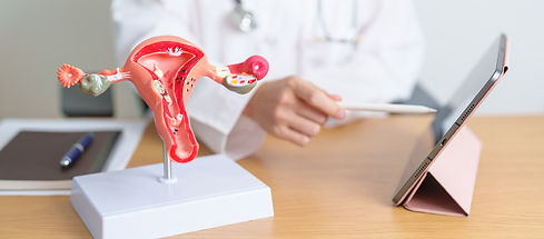 Doctor with Uterus and Ovaries anatomy model and tablet. Ovarian and Cervical cancer, Cerv