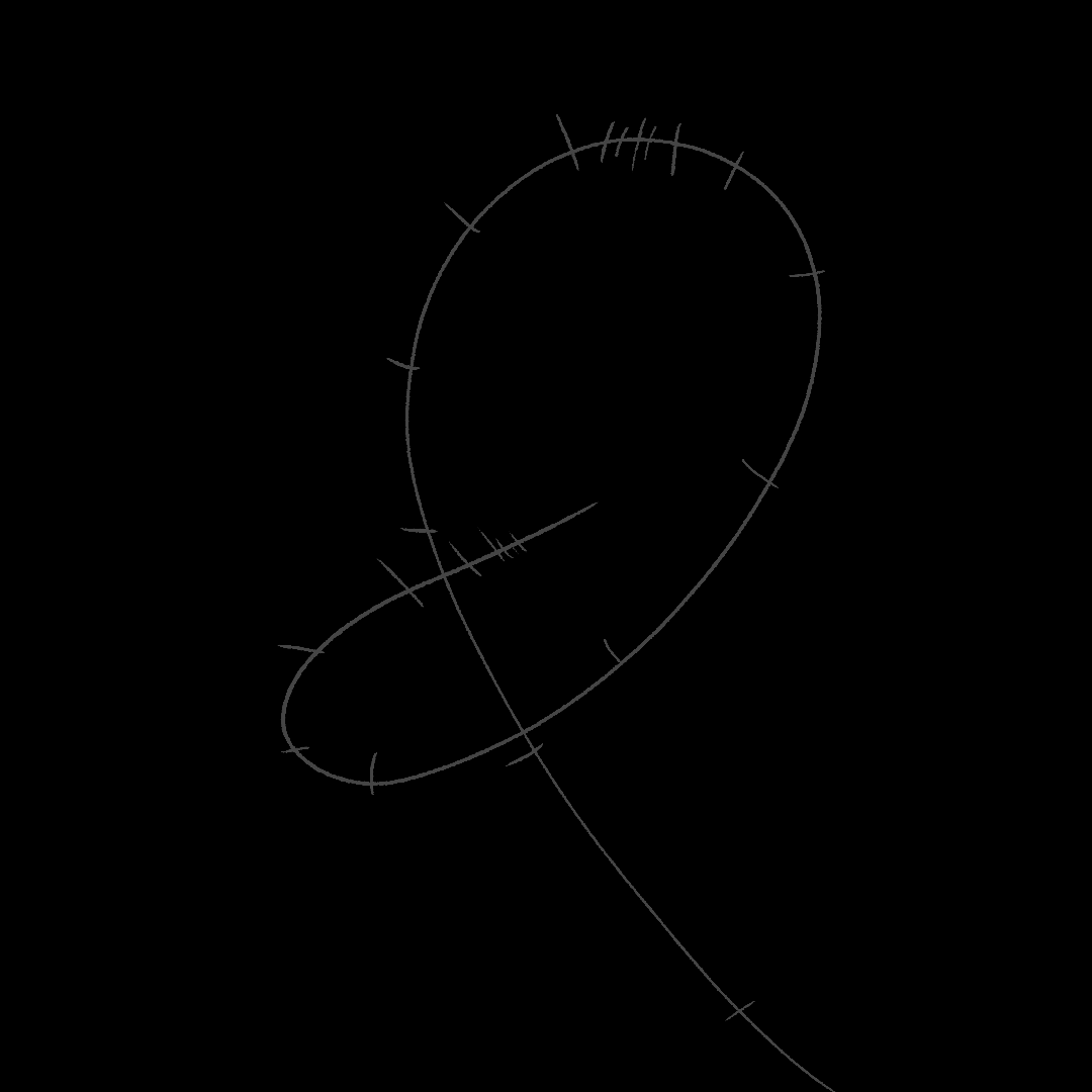 WorkUp-l-Frame-By-Frame.gif