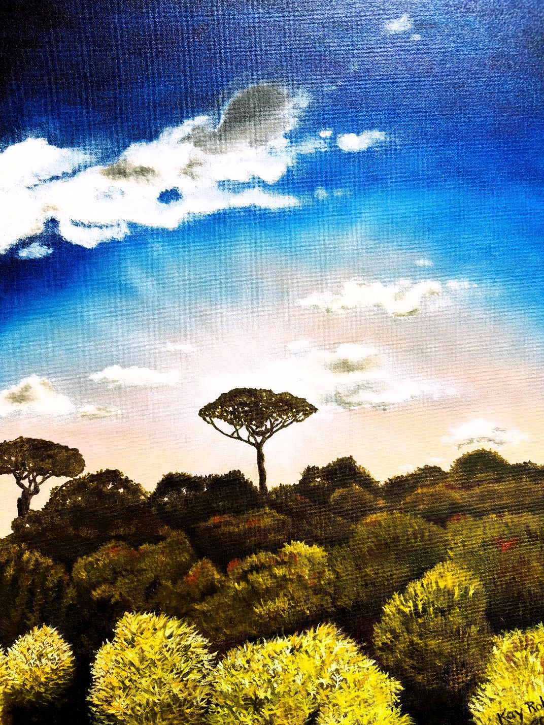 African Landscape by Kay Robart