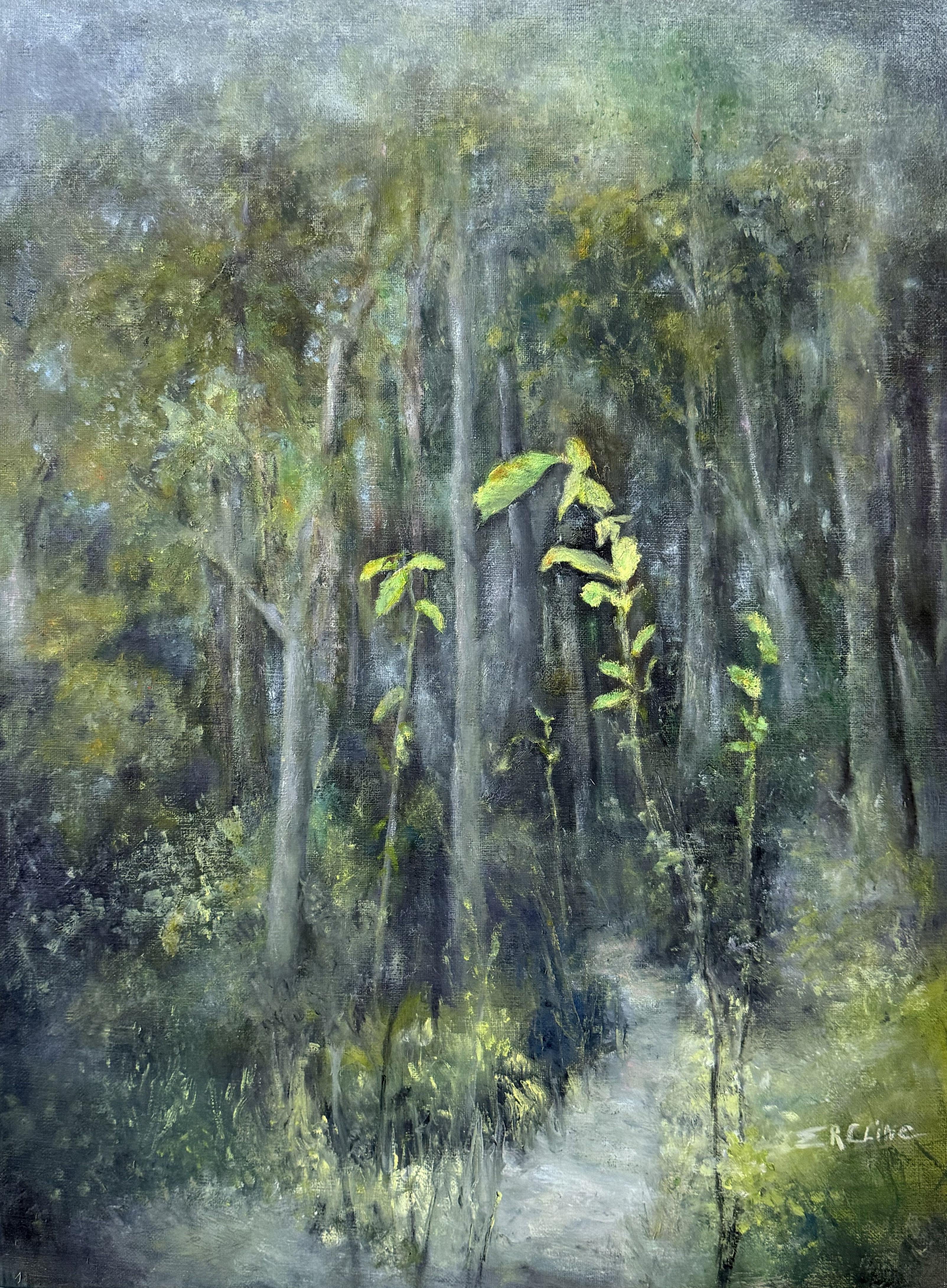 Early Evening in Bryant Woods by Elisabeth Cline-