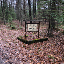 The Sign