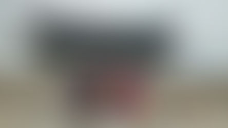 Lotus Lantern festival