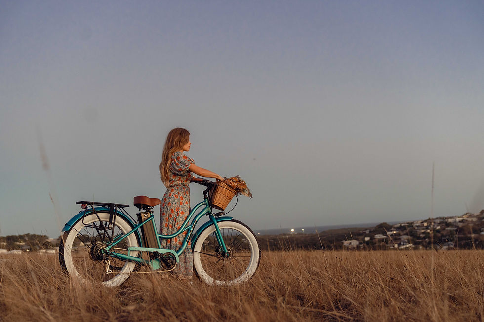 San Remo E Bike from Bair Bikes.