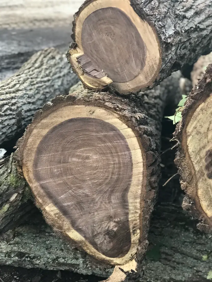 Black walnut logs salvaged from a Gold Coast estate, Long Island