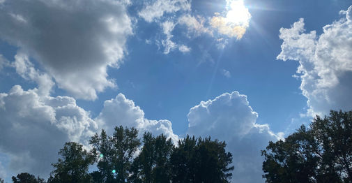 IMG_0627.jpeg