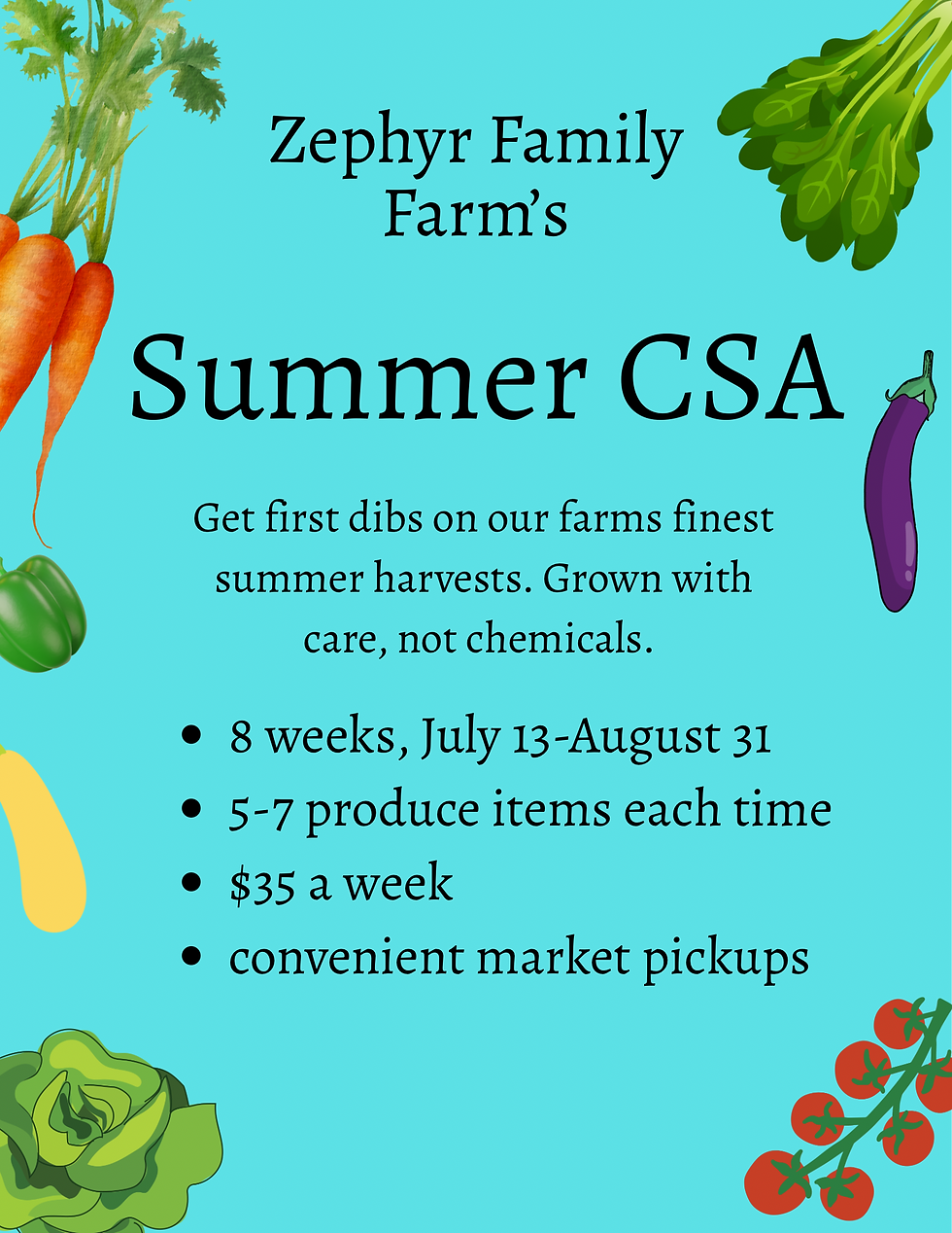 Summer CSA