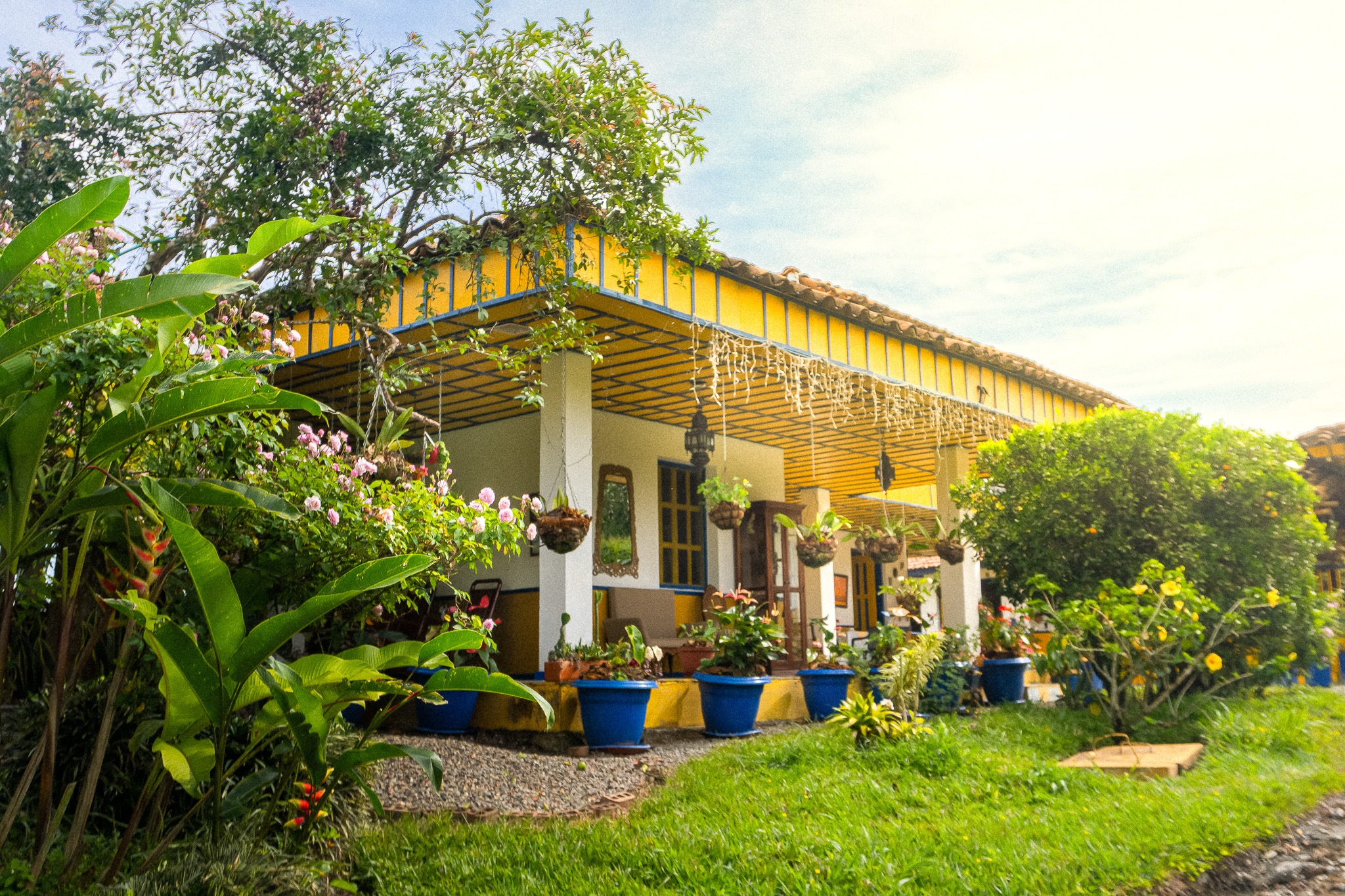 Writer: Finca El Barranco