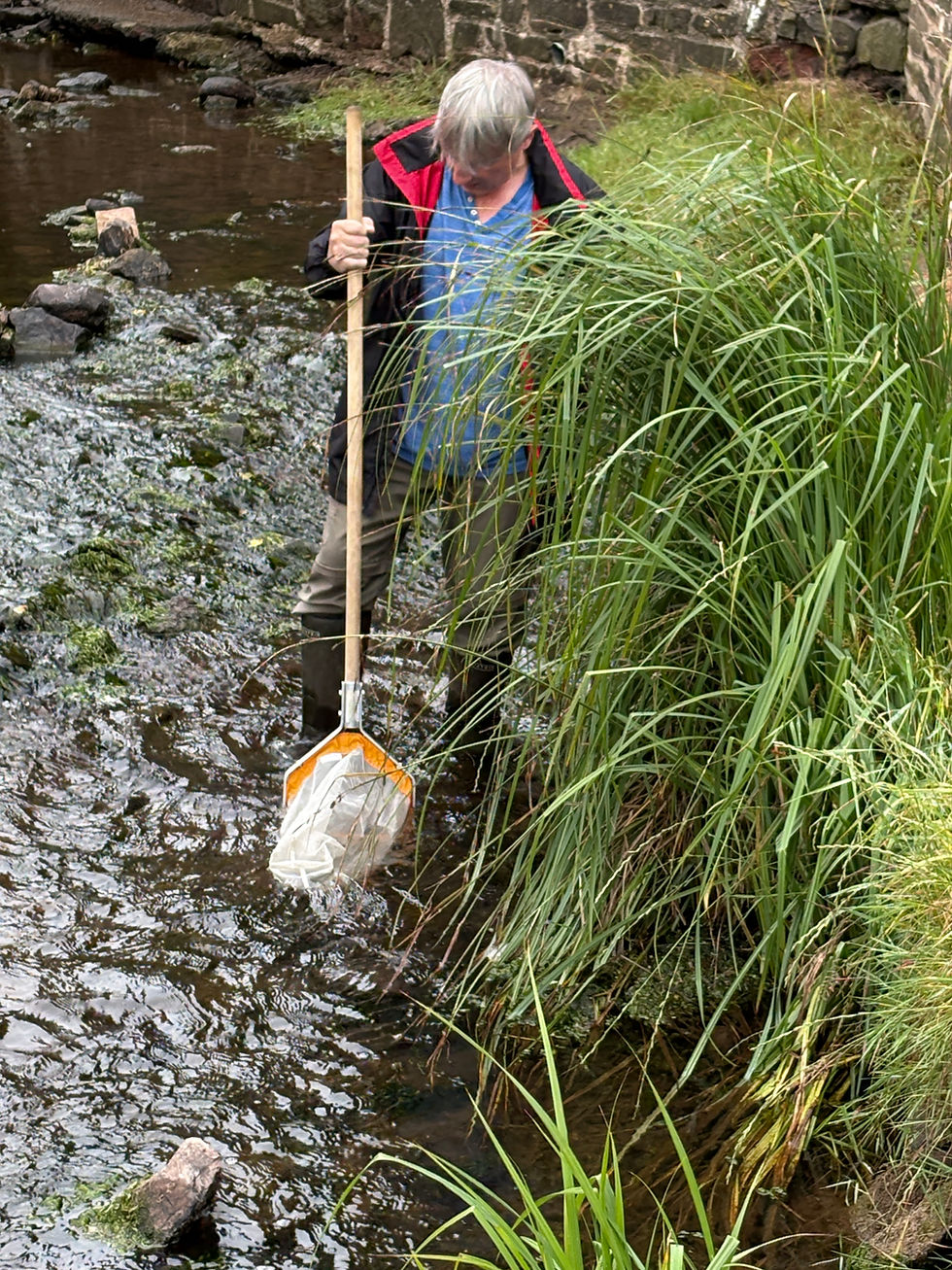 Kevin showing us how to do it.