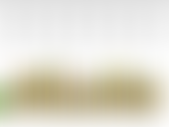 August river water test results