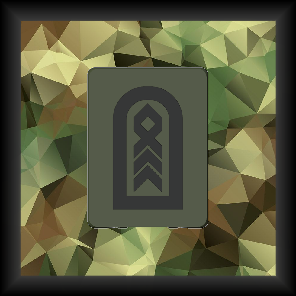Miniaturbild: NVG Aufsatz Unteroffiziere H