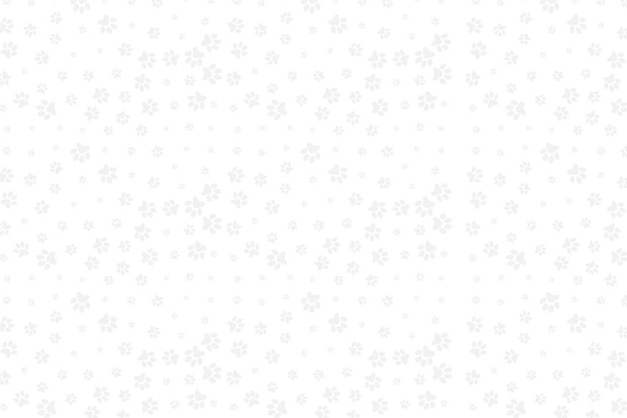 Fondo pagina.jpg