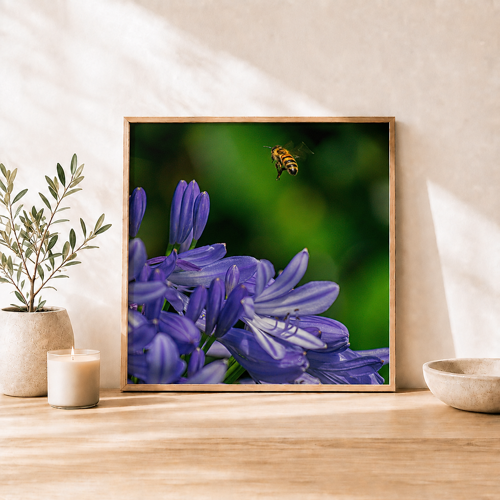 Thumbnail: The Bee —Curated Square Photo Rag Print
