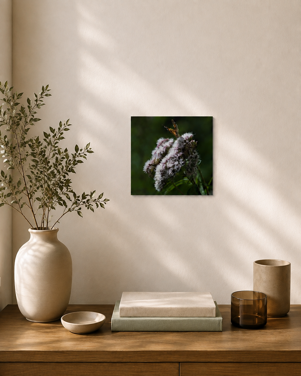 Thumbnail: Butterfly — Curated Square Photo Rag Print