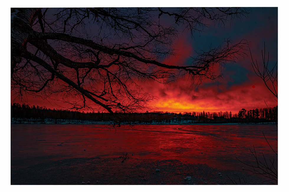 Red sunset fine art photograph with silhouetted trees reflected across calm water