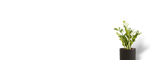 vase.png