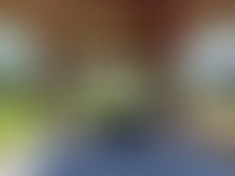 Why Timber Structures Are Making a Comeback — And Why Premium Patios Leads the Way