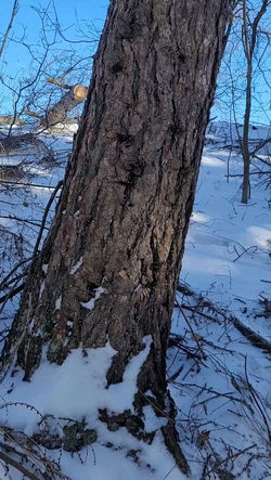 333385321_1295978004282568_1034317235286363880_n