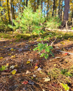 465083481_998406468983096_7675503515116152024_n