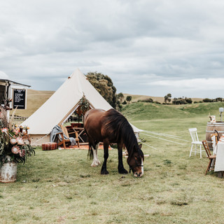 GLAMPING at The Ranch