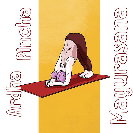 Ardha pincha mayurasana FB.jpg
