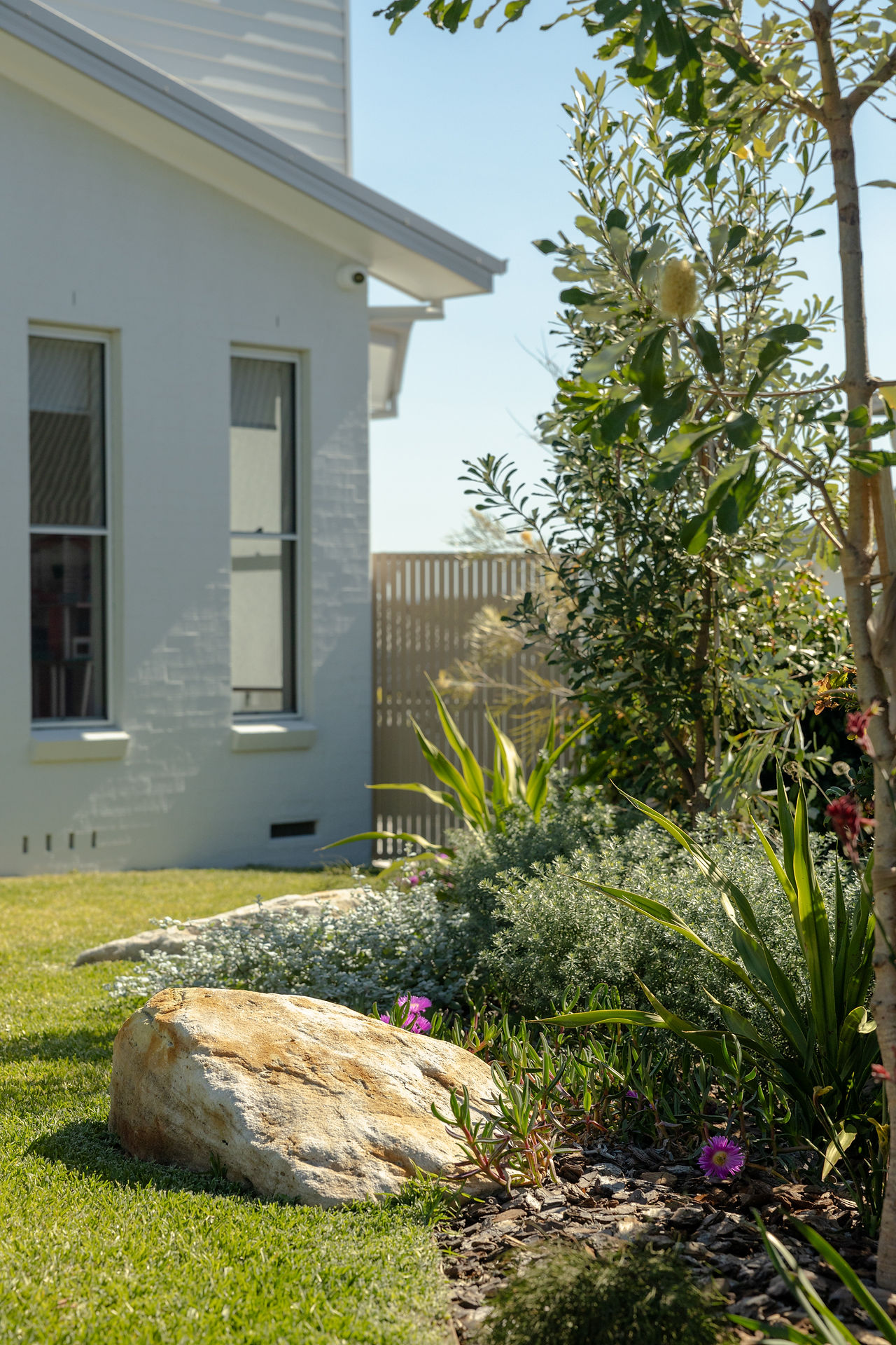 Australian native garden