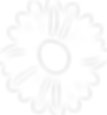 flower_3x.png