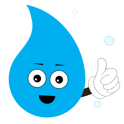 The Wash Place Mascot