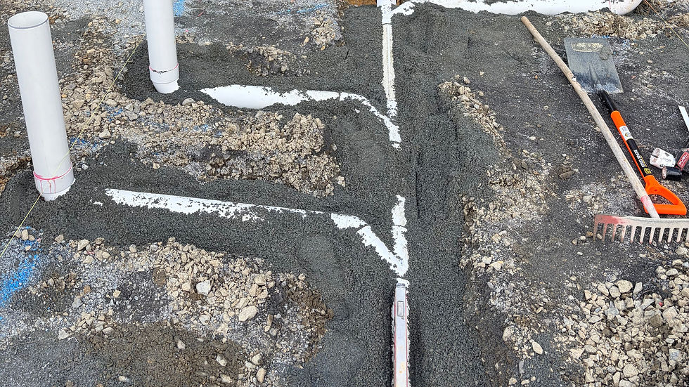 Drainlaying expert Warkworth